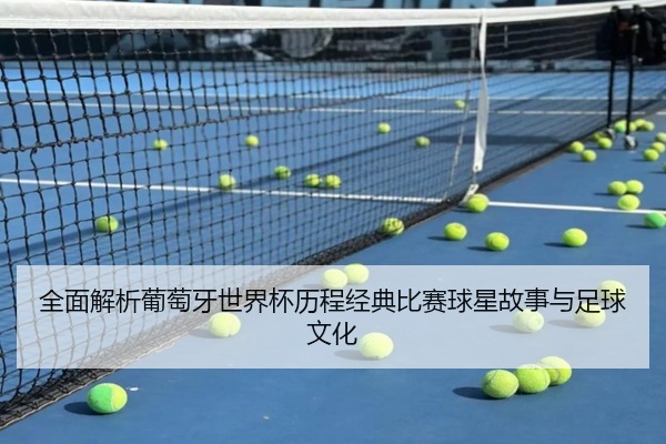 全面解析葡萄牙世界杯历程经典比赛球星故事与足球文化