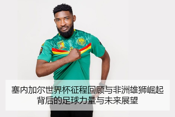 塞内加尔世界杯征程回顾与非洲雄狮崛起背后的足球力量与未来展望