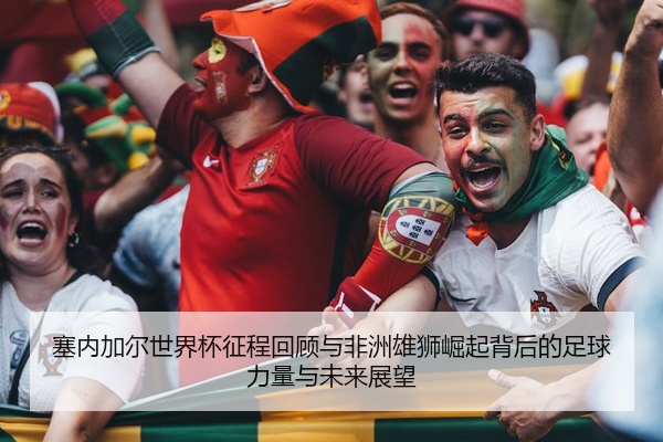 塞内加尔世界杯征程回顾与非洲雄狮崛起背后的足球力量与未来展望